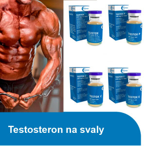 Testosteron na svaly
